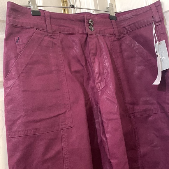 NWT Anthropologie Pilcro The Wanderer coated relaxed fit pants size 32P. - Picture 4 of 10